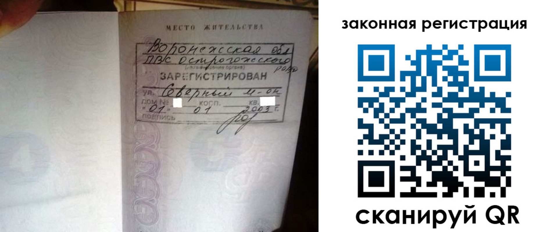 прописка поиск в Димитровграде