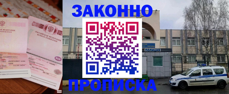 временная прописка в Димитровграде